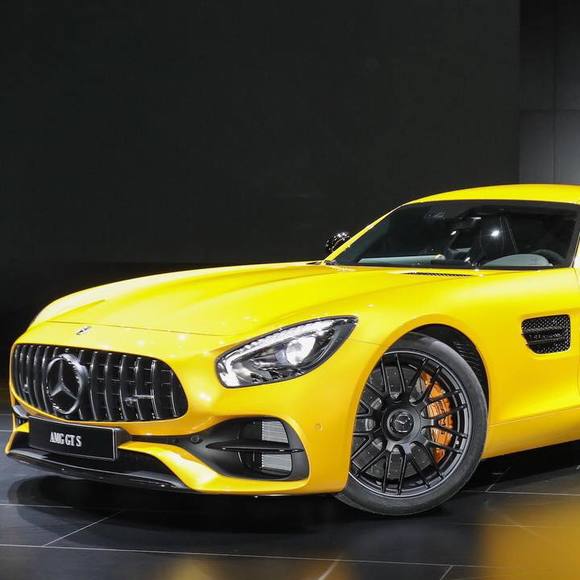 Meet your Posher, Logan - Picture 1 of 1